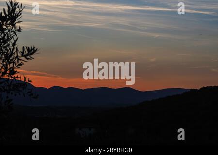 Ein malerischer Blick auf grüne Pflanzen in den Hügeln der Toskana bei goldenem Sonnenuntergang Stockfoto