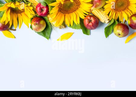 Herbst Hintergrund. Rand aus Sonnenblumen, Mais und Birnen. Stockfoto