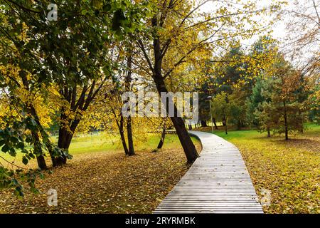 Holzwanderweg im Park im Herbst zwischen gefallenen Blättern und gelblichen Bäumen Stockfoto