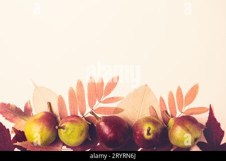 Natürliche Zusammensetzung der trockenen rosa Blätter und Birnen auf rosa Hintergrund. Herbst Ernte Konzept Stockfoto