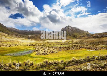 Berge in Kolumbien Stockfoto