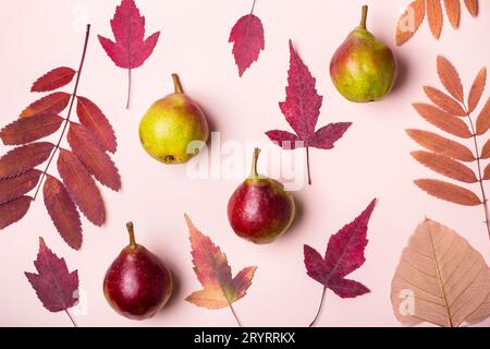 Natürliche Zusammensetzung der trockenen rosa Blätter und Birnen auf rosa Hintergrund. Herbst Ernte Konzept. Stockfoto