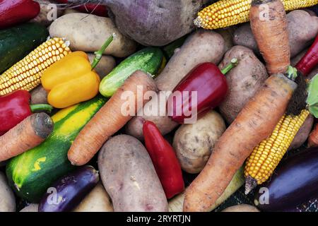 Viele verschiedene Gemüsesorten. Ernte von Gemüse. Konzeptprodukte für gesunde Ernährung. Gesunde Lebensmittel. Stockfoto