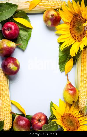 Herbst Hintergrund. Rahmen aus Sonnenblumen, Mais und Birnen. Stockfoto