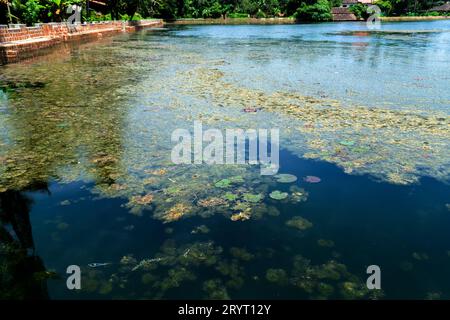 Riesiger Tempelteich aus Kannur, Kerala. Stockfoto