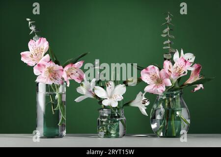 Schöne weiße und rosa Blumen in Glasflaschen auf grünem Wandtischhintergrund. Minimaler Blumenschmuck, Kopierraum Stockfoto