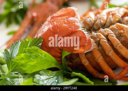 Gekochte Langusten aus nächster Nähe und Petersilienblätter. Vorspeise Protein. Stockfoto