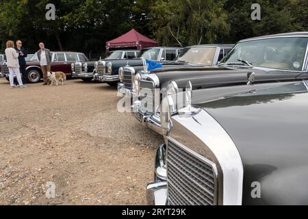 Mercedes-Benz 600 bei der Mercedes-Benz UK Rallye bei Mercedes-Benz World Brooklands Surrey UK Stockfoto