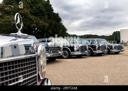 Mercedes-Benz 600 bei der Mercedes-Benz UK Rallye bei Mercedes-Benz World Brooklands Surrey UK Stockfoto