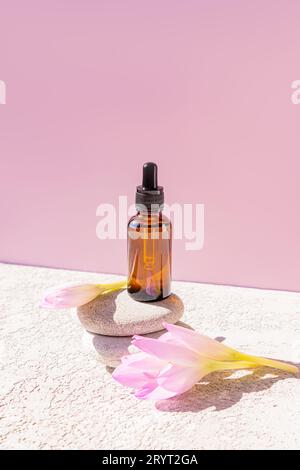 Ein natürliches kosmetisches Mittel in einer braunen Glasflasche mit einer Pipette steht auf einem Podium aus grauen ovalen Steinen. Naturkosmetik. Organische Pflege Stockfoto