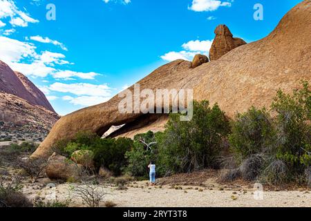 Schlanke Frauenfotos Stockfoto