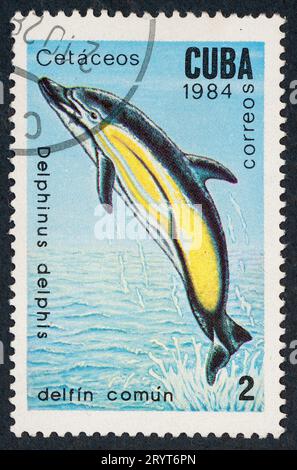 Der gemeine Delfin (Delphinus delphis). Walreihen. Briefmarke, ausgestellt 1984 in Kuba. Stockfoto