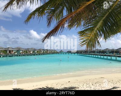 Ein malerisches tropisches Dock an einem goldenen Sandstrand, umgeben von üppigen Bäumen auf den Malediven Stockfoto