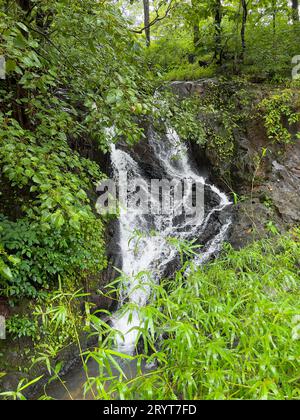 Wunderschöner kleiner Wasserfall umgeben von üppiger grüner Vegetation während der Monsunsaison. Stockfoto