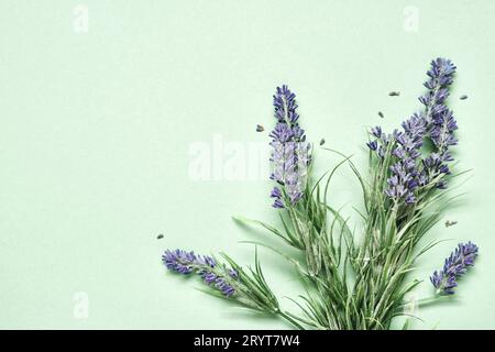 Lavendelstrauß auf mintgrünem Hintergrund. Aromatherapie-Behandlung und Hautpflege-Spa-Kosmetik. Minimales Hintergrundkonzept Stockfoto