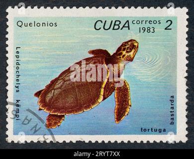 Kemp's ridley Meeresschildkröte (Lepidochelys kempii), auch Atlantische ridley Meeresschildkröte genannt. „Quelonios“ – Schildkröten. Briefmarke, ausgestellt 1983 in Kuba. Stockfoto