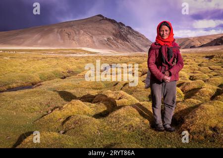 Weibliche Kopfzeile von den Changpa-Leuten, Korzok, Ladakh, Indien Stockfoto