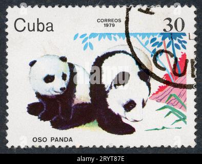 Der Riesenpanda (Ailuropoda melanoleuca), manchmal Pandabär oder einfach Panda genannt. Briefmarke, ausgestellt 1979 in Kuba. Stockfoto