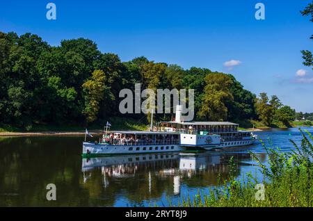 Elbdampfer bei Pillnitz, Sachsen, Deutschland der historische Raddampfer LEIPZIG fährt die Elbe stromauf, Pillnitz, Sachsen, Deutschland, 24. August 2016, nur zur redaktionellen Verwendung. Der historische Raddampfer LEIPZIG navigiert flussaufwärts auf der Elbe, Pillnitz, Sachsen, Deutschland, 24. August, 2016, nur zur redaktionellen Verwendung. Stockfoto