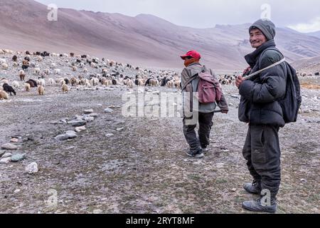 Zwei Ziegenköpfe von den Nomaden der Changpa, Debring, Ladakh, Indien Stockfoto