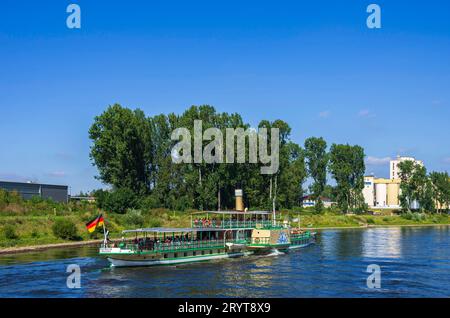 Stadt Wehlen, Elbe, Sachsen, Deutschland der historische Raddampfer STADT WEHLEN fährt auf der Elbe vorbei, bei Heidenau zwischen Dresden und Pirna, Sachsen, Deutschland. Der historische Raddampfer STADT WEHLEN fährt an der Elbe vorbei, bei Heidenau zwischen Dresden und Pirna, Sachsen. Stockfoto