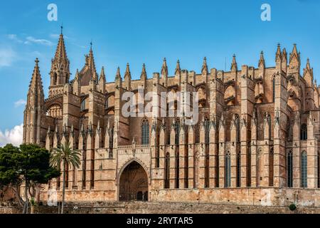 Gotische mittelalterliche Kathedrale La Seu und Königspalast La Almudaina. Palma de Mallorca. Balearen Spanien. Stockfoto