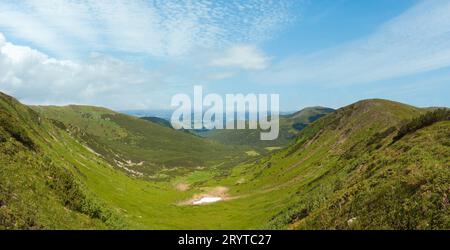 Panoramablick auf die sommerliche Bergwiese mit Wacholderwald und Schnee auf dem Bergrücken in der Ferne. Stockfoto