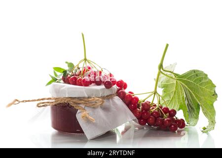 Viburnum-Konfitüre in einem Glasgefäß und frisches rotes Viburnum isoliert auf weißem Hintergrund. Stockfoto