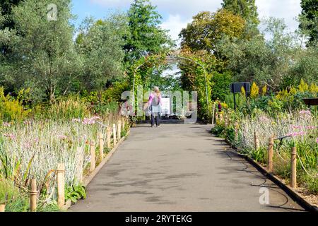 Frau, die eine Informationstafel unter dem Bogen im Horniman Museum Prairie Garden im Herbst in Südlondon, England, Großbritannien KATHY DEWITT, liest Stockfoto