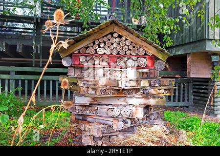Insekten- oder Insektenhotel in Horniman Museum Gardens im Herbstgarten, hergestellt aus Holzpaletten in Forest Hill South London, Großbritannien KATHY DEWITT Stockfoto