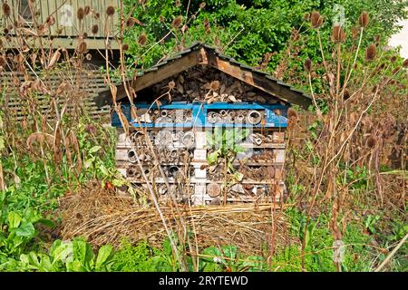 Insekten- oder Insektenhotel in Horniman Museum Gardens im Herbstgarten, hergestellt aus Holzpaletten in Forest Hill South London, Großbritannien KATHY DEWITT Stockfoto