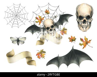 Menschlicher Schädel mit Fledermausflügeln, Motte, Papierrolle, Hexenhut, Spinnennetz und Herbstahornblättern. Handgezeichnete Aquarellillustration für Halloween. Isoliert Stockfoto