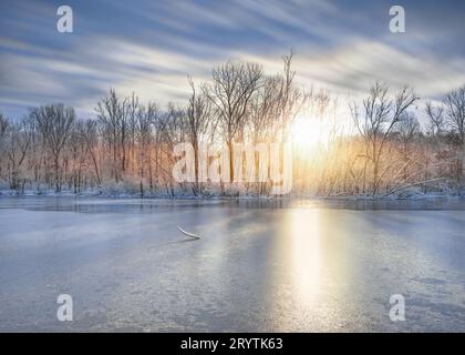 Ein gefrorener Caperton Swamp Louisville Kentucky bei Sonnenaufgang. Stockfoto