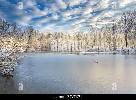 Ein gefrorener Caperton Swamp Louisville Kentucky bei Sonnenaufgang. Stockfoto