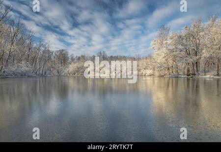 Ein gefrorener Caperton Swamp Louisville Kentucky bei Sonnenaufgang. Stockfoto