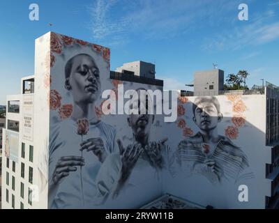 Ein Wandgemälde von El Mac Art, das von RELATED Group in Auftrag gegeben wurde. Wynwood Miami FL Wynwood Design District Stockfoto