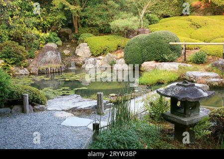 Ein neuer Teichgarten oder Yoko-en des Taizo-in-Tempels im Herbst. Kyoto. Japan Stockfoto