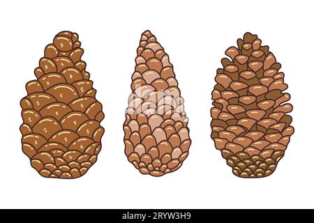 Set aus drei Kiefernkegeln auf weißem Hintergrund, braun. Bunte isolierte Vektorillustration Doodle. Von Hand gezeichnetes Symbol oder Karte, Designelement. Herbst Stock Vektor
