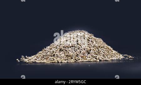 Kümmel-Samenstapel Top View bekannt als Meridian Fenchel und Persischer Kümmel, Carum carvi Stockfoto