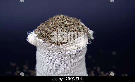 Kümmel-Samenstapel Top View bekannt als Meridian Fenchel und Persischer Kümmel, Carum carvi Stockfoto