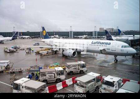 04.08.2023, Frankfurt, Hessen, Deutschland, Europa - ein Passagierflugzeug der Lufthansa vom Typ Airbus A321-200 mit der Registrierung D-AISL parkt am Gate des Terminal 1 auf dem Frankfurter Flughafen. Lufthansa ist Mitglied der Star Alliance Luftfahrtallianz, ein internationales Netzwerk von Fluggesellschaften. *** 04 08 2023, Frankfurt, Hessen, Deutschland, Europa Ein Lufthansa Airbus A321 200 Passagierflugzeug mit Registrierung D AISL parkt am Terminal 1 Gate des Frankfurter Flughafens Lufthansa ist Mitglied der Star Alliance AVIATION Alliance, einem internationalen Fluglinien-Netzwerk Stockfoto