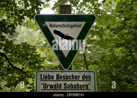 Naturschutzzeichen im Urwald Sababurg, Landkreis Reinhardswald, Hessen, Deutschland Stockfoto