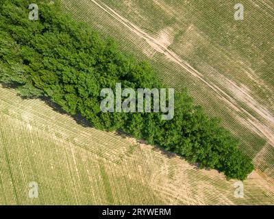 Luftbild geometrische Felder, zeigt eine grüne Wiese und gepflügte Felder, mit einer Drohne gefangen Stockfoto