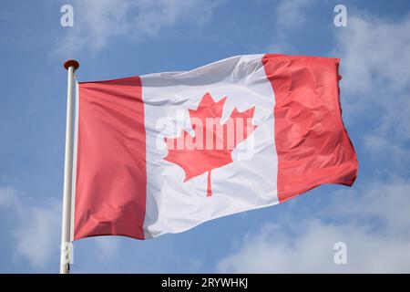 Kanadas Flagge fliegt im Wind Stockfoto