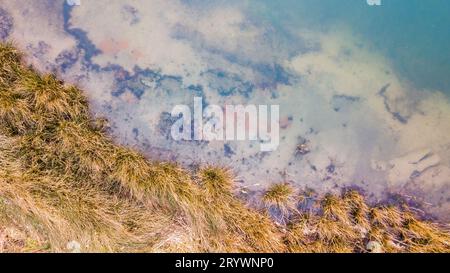 Von oben nach unten auf die Uferseite eines Forest Lake im Herbst Stockfoto
