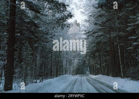 Winterlandschaft, Winterwald, Winterstraße und Bäume, Kiefern bedeckt mit Schnee, Panoramablick Foggy, bewölkt, frostiger Tag, stimmungsvolle Aufnahme Stockfoto