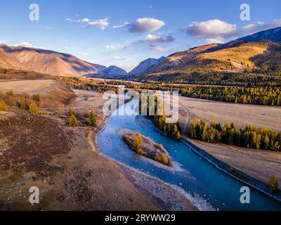 Das Drohnenfoto des malerischen Katun-Flusses mit dem türkisfarbenen Wasser im Canyon des Altai-Gebirges in Sibirien, Russland. Stockfoto