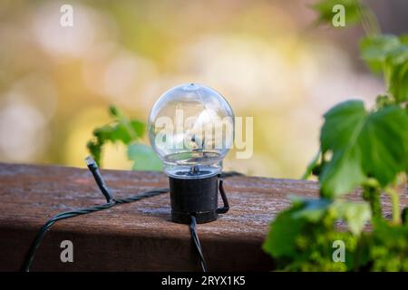 Foto einer kleinen dekorativen Lichtkugel auf der Holzterrasse in der Nähe einer Pflanze eines Wohnhauses Stockfoto