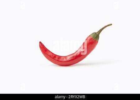 Eine gekrümmte frische Chilischote isoliert auf weißem Hintergrund. Natürliche Würze für Mahlzeiten. Würziger Geschmack von Gemüse. Stockfoto