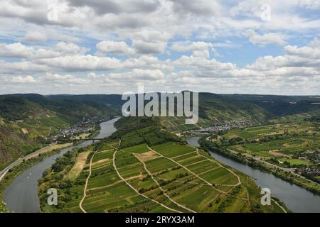 Berühmte Moselschleife bei Kroev, Wolf und Traben-Trabach Deutschland mit Weinbergen, idyllischer Landschaft und Weinreben Stockfoto